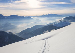 王头被坑第三方未支付不能到账咋办;需要预防