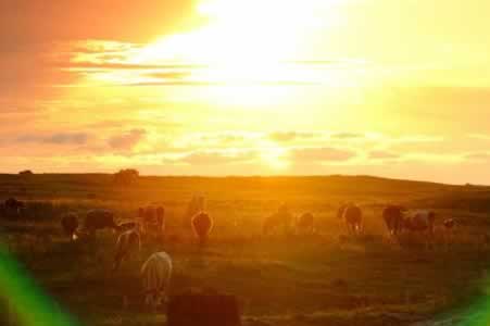 什么叫风控审核