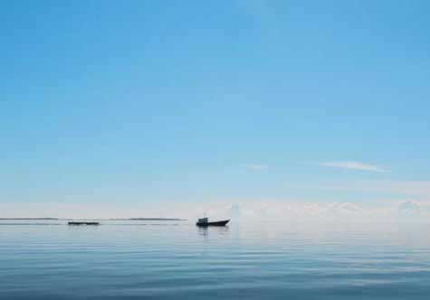 注单延迟提不了钱怎么办掌握更多