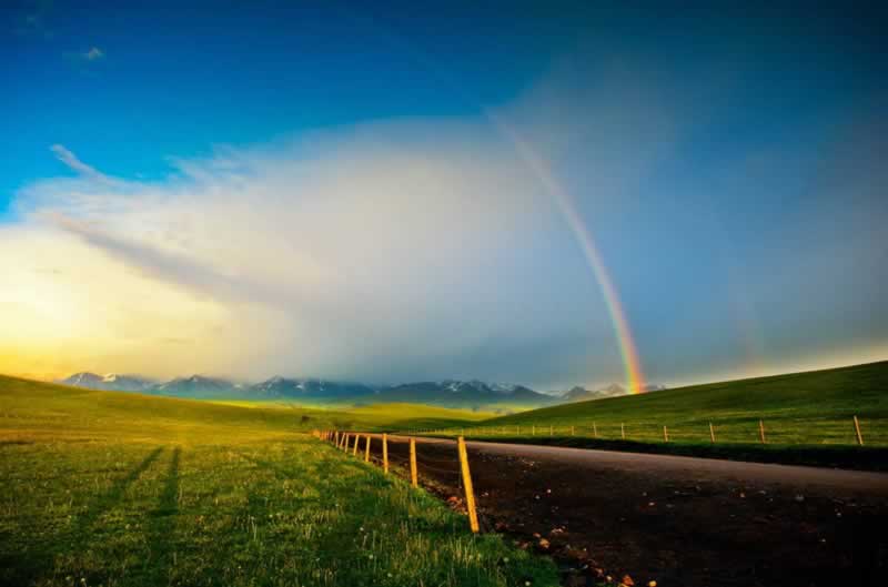 为什么提现一直都是处理中