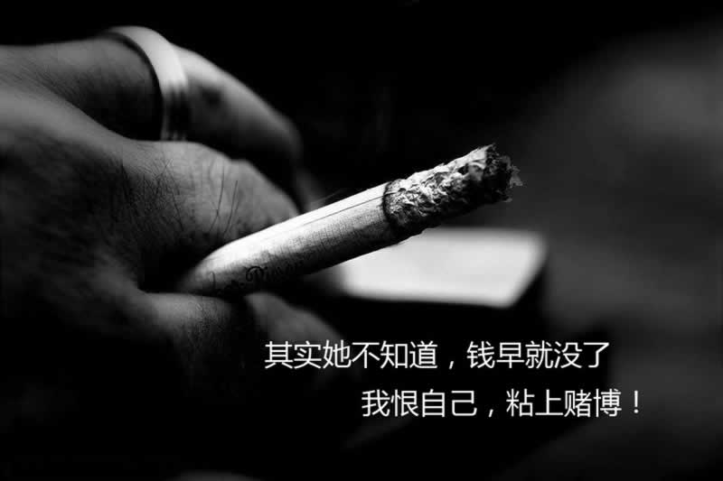 处理方案（图）