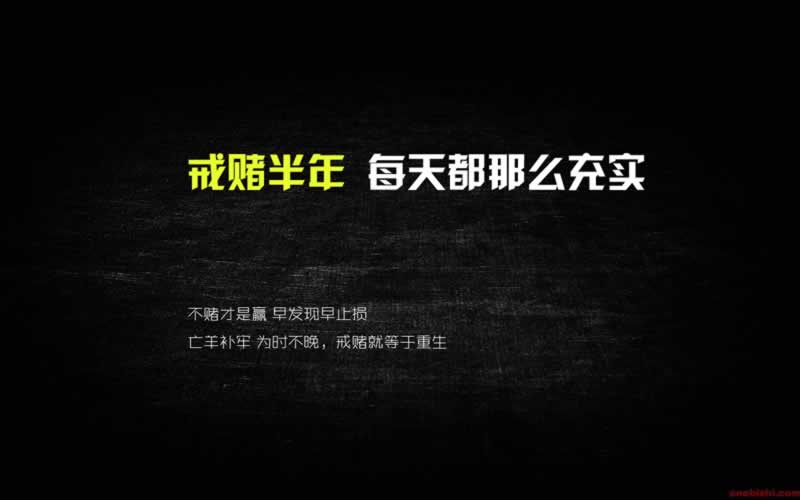 网上网站数据未更新提现失败