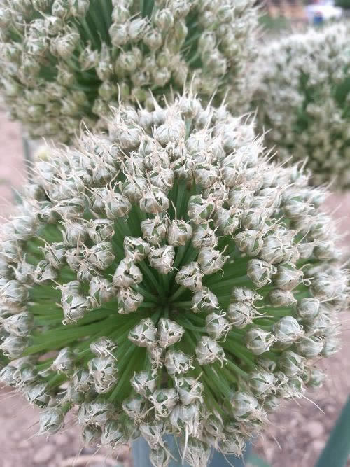 在网上平台异常怎么出黑提不了款